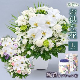 メモリアルアレンジメントL 線香 お供え花 供養 胡蝶蘭 コチョウラン シンビジューム オーキッド そのまま飾れる アレンジメント 生花 花市場から直送 仏花 フラワーアレンジメント お悔やみ花 新盆花 お花 お彼岸 仏壇用 一周忌花 命日 法事 供花