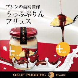 【うっふぷりん プリュス　5個入】