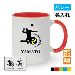卒団記念品 バレーボールマグカップ ≪名入れ無料≫ オリジナル プレゼント(CYD) 男子 女子 入学 卒業 入部 大会 メモリアル