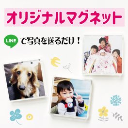 【LINEで簡単】写真入り マグネット うちの子 孫 子ども ペット  写真印刷 おしゃれ 卒団 卒園 記念品 サプライズ プレゼント ギフト 誕生日 20代 30代 40代 50代 60代 贈り物 両親 祖父母 【お絵かき水筒】