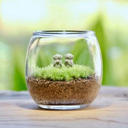 双子地蔵_おちょこけ《苔テラリウム・コケリウム》インテリア小物（雑貨類）