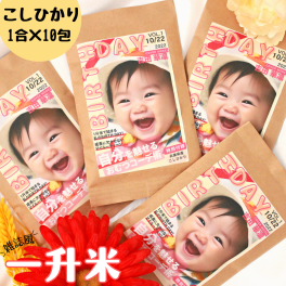 一升米 選び取りカード付 お米でお祝い お配りも楽ラク! 150ｇ×10包 小分け こしひかり 送料無料 メッセージ