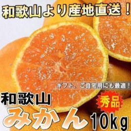 【予約】 和歌山県産 みかん ミカン 秀品 10kg　【送料無料】 10月中旬以降より発送開始