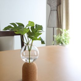 水替え不要　モンステラ　観葉植物　魔法の水　マジカルウォーター　インテリア　ギフト　お祝い　085