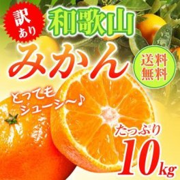 『予約』和歌山県産 訳あり みかん ミカン 10kg (傷あり サイズ不揃い ご自宅用) 【送料無料】ご自宅用 10月下旬以降より発送開始