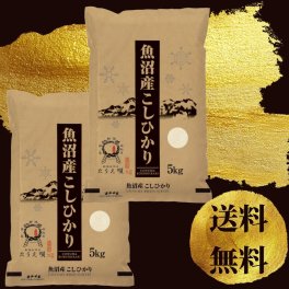 新米　令和8年産　魚沼産こしひかり　10kg（5kg×2）　送料無料　お米/米【特A】ブランド米　新潟から産直販売/直送【お祝/ギフト】　10キロ　精米【安心安全米】