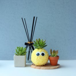 【モスビー＆テラ】モスビー 多肉植物 インテリア プレゼント 癒し ギフト 母の日 父の日 クリスマス 敬老の日 かわいい バレンタイン 植物 プレゼント 観葉植物
