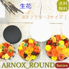 【送料無料】即日発送 丸いBOXフラワー　フラワーケーキ　生花アレンジメント 誕生日 プレゼント 生花 フラワー ギフト BOXフラワー 誕生日 結婚祝い ホワイトデー お見舞 送別 新築祝い ウエディング テーブル装花 引き出物 BOXアレンジ 御祝い 卒業 入学 出産 母の日 お中元 お歳暮 敬老の日
