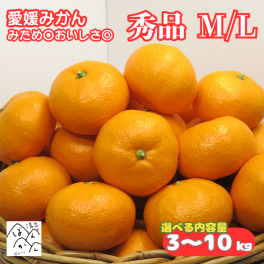 愛媛みかん 秀品 中玉 M/Lサイズ別 みため〇おいしさ◎ お歳暮 ミカン フルーツ 果物 柑橘 【送料無料※北海道・沖縄除く】 