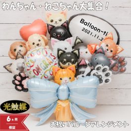 卒業 卒園 開店祝い  ペット 犬 猫 バルーン バルーンギフト バルーン電報 卓上  名入れ  花 祝電 電報 アーティフィシャルー フラワー サロン ペットサロン 動物病院 トリミングサロン ドッグカフェ お祝い 光触媒 フラワーギフト バルーンフラワー 風船 pet1608