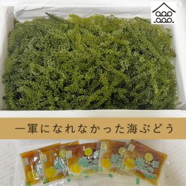 一軍になれなかった海ぶどう500g　海ブドウ おつまみ 低カロリー  おうち時間応援 お取り寄せ グルメ