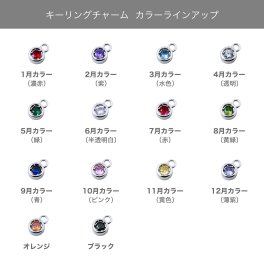 THE KISS 公式ショップ キーリングチャーム 押し活 オタ活 ペア 誕生石カラー ペアアクセサリー カップル 人気 ジュエリーブランド THEKISS バースデーストーンカラー プレゼント ACH1000 アニバーサリー