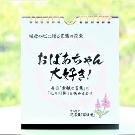 【敬老の日ギフト】祖母に「言葉の贈り物」！日めくりカレンダー「おばあちゃん大好き」～「孫心（まごころ）」のこもった楽しい川柳＆言葉遊びの仕掛けで毎日めくりたくなる～