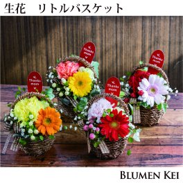 送料無料 生花 花 アレンジメント リトルバスケット／ピック 画像配信 メッセージカード クリスマス プレゼント ギフト 結婚祝い ウェディング 誕生日 仏花 プロポーズ お祝い 女性 妻 かわいい おしゃれ フラワー パーティ 開店祝い 母の日 敬老の日 いい夫婦の日 新年 正月 ハロウィン クリスマス ホワイトデー バレンタインデー 成人式
