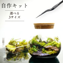 【制作キット】ツールセット 石畳 LEDライト付ボトルテラリウム　作成キット 苔セット 苔 ハンドメイド 自作キット キット 手作り ギフト プレゼントにも