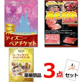 ビンゴ・二次会の景品はお任せ 景品 セット ビンゴ 二次会 ディズニーペアチケット＆黒毛和牛＆ハーゲンダッツ豪華３点セット 景品パネル＆引換券付き目録 15505 結婚式 ゴルフコンペ イベント 抽選会