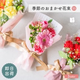 季節のおまかせ 花束SS ブーケ 韓国ラッピング おしゃれ 可愛い 生花 花束 フラワーギフト プレゼント 卒業 卒業式 卒園 入学 転勤 送別退職 発表会 お礼 お誕生日 女性 男性 小学校 中学校 高校 大学 社会人 春 夏 秋 冬 