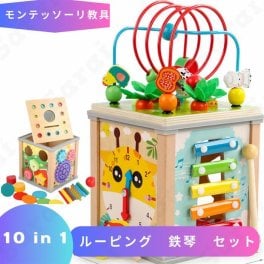 知育玩具 モンテッソーリ教具 ルーピング 鉄琴 10 in 1 セット 時計 にんじん 型はめ 歯車 ギアー コイン入れ 子供オモチャ 子供玩具 子どもおもちゃ こども 誕プレ 0歳 1歳 2歳 ベビー 赤ちゃん 知育おもちゃ 室内遊び お家 学習 教育 勉強 孫 幼児 誕生日プレゼント お祝い キッズ用知育玩具【送料無料】