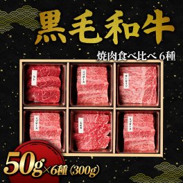 【送料無料】黒毛和牛 6品焼肉食べ比べセット 300g 部位4種  