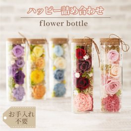 【 送料無料 】【 ハッピーフラワー ボトル 】プレゼント 花 プリザーブドフラワー バラ 薔薇 雑貨 退職祝い お祝い ボトルフラワー ガラス ケース入り 誕生日プレゼント 女性 50代 義母 母親 60代 70代 77歳 還暦祝い 赤 おしゃれ 米寿 祖母 還暦 古希 傘寿 クリスマス
