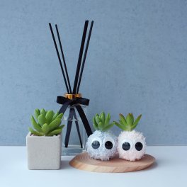 【モスビーミニダブル】モスビー 多肉植物 インテリア プレゼント 癒し ギフト 観葉植物