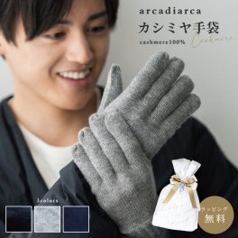 カシミヤ 100％ 手袋 メンズ プレゼント グローブ カシミヤ100% カシミア 男性 父の日 紳士 学生 ギフト ビジネス 暖かい てぶくろ 防寒グッズ 寒さ対策 ラッピング無料 アルカディアルカ arcadiarca ギフト