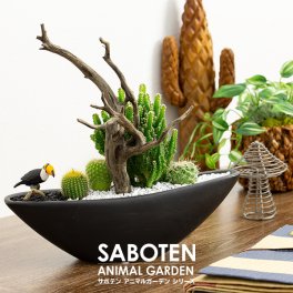 アニマルガーデン　フィギュアが選べる 寄せ植え セレウス 電磁波サボテン 流木タイプ