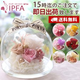 「 ガラスドーム キャンディポット」 プリザーブドフラワー 誕生日 退職祝い ギフト 結婚祝い プリザーブド ブリザード フラワー 結婚記念日 お祝い 贈り物 ブリザードフラワー 花 バラ おしゃれ かわいい 女性 電報 還暦祝い 還暦 喜寿 古希 米寿 ガラス ドーム ガラスドーム 人気 お盆 初盆 お彼岸 敬老の日