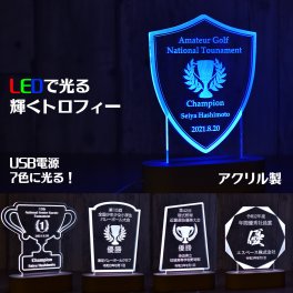 オリジナル アクリル LEDスタンド 名入れ トロフィー 盾 スタイル オリジナル インテリア 記念品 家族 友人 恋人 イベント 出場記念 優勝 記念 大会 贈呈