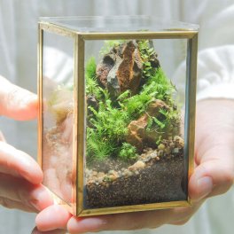 フィギュアなし_山岳の風景 メタルフレームS 父の日 母の日 お誕生日 還暦 敬老の日 内祝い ギフト お祝い 御祝い プレゼント 苔 テラリウム 観葉植物 インテリア ミニチュア 盆栽