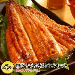 うなぎ 四万十うなぎ 詰め合わせ セット 日本最後の清流、四万十川の恵みで育った自慢の鰻 【蒲焼き/国産/国内産/敬老の日/ギフト/2026/プレゼント/贈答】
