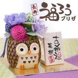 【名入れ】 プリザーブドフラワー プレゼント 花 和風 名入れ ギフト かわいい 枯れない花 カーネーション 置物 玄関 祖父 祖母 60代 70代 80代 誕生日 還暦祝い 赤 古希 喜寿 紫 傘寿 卒寿 退職祝い 送別会 お祝い《 長寿 ふくろう プリザ 》 翌営業日出荷