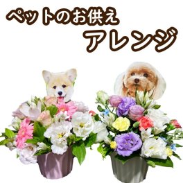 お盆 ペット お花 ペットのお供え 犬 猫　写真印刷無料 お供え お悔やみ お花 花 仏花 法事 仏事 命日 初盆 フラワーギフト アレンジ 花束 日付指定  立札 カード　わんちゃん 犬　ドッグ 猫　キャット