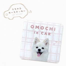 【名入れ】【カーマグネット 四角型 10×10cm】写真  ステッカー うちの子 ペット グッズ  送料無料