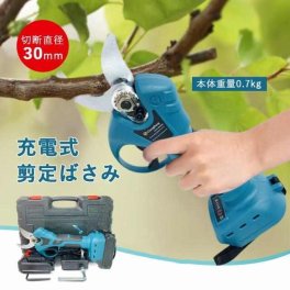 充電式電動ハサミ 枝切り 充電式剪定ばさみ コードレス 庭木 枝切り 果樹用 剪定鋏 園芸用剪定用具 バッテリー2個 収納ケース付き