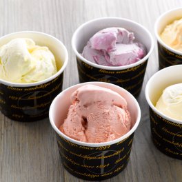 敬老の日 銀座千疋屋 銀座プレミアムアイス お歳暮 歳暮 ギフト 贈り物 贈答 食べ物 熨斗 のし 贈答用 プレゼント おくりもの 年末 年始 2022 2023(代引不可)【送料無料】