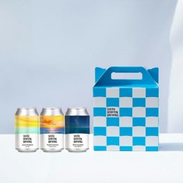 クラフトビール ワールドビアカップ受賞他 3本 飲み比べ 発泡酒 冷蔵 お取り寄せ 高知 SOUTH HORIZON BREWING 地ビール