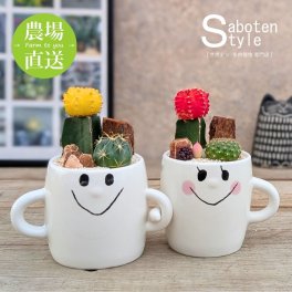【ペアギフト】なかよしサボテン寄せ植え スマイルファミリー | 緋牡丹 ヒボタン | 育てやすい 水やり簡単 初心者にも | 多肉植物 観葉植物 インテリア | 記念日 誕生日 ギフト プレゼント デスク用 卓上 | ホワイトデー 新生活 退職 卒業 | 後藤サボテン 春日井