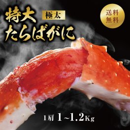 ボイルタラバガニ 本たらばがに 極太 5Lサイズ 特大本タラバガニ/足１ｋｇ（グロス１０００g前後）（生冷凍）約2人前 ロシア産（蟹/蟹/蟹/タラバカニ）贈り物　キャンプ　バーベキュー　ＢＢＱ カニ【送料無料※一部地域送料あり】