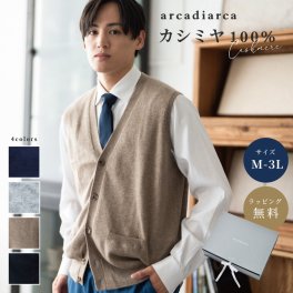アルカディアルカ arcadiarca カシミヤ100% ベスト メンズ 前開き M～3L (カシミヤ ニットベスト 前開きベスト セーター ニット カシミア カシミヤ100) ギフト ギフト 父の日 2026 プレゼント