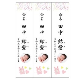 命名札【ゆうパケット送料無料】★名入れ★お急ぎ対応可