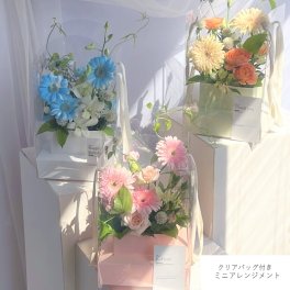 【new】 クリアバッグ付きミニアレンジメント 【 生花商品 】生花アレンジメント フラワーギフト アレンジメントフラワー アレンジメント