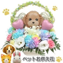 生花　ペット お悔やみ花 レインボーカーネーション お供え アレンジメント 生花 送料無料