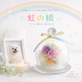 【送料無料】メモリアルフラワー虹の橋　プリザーブドフラワー　ペット仏花お供え