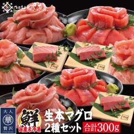贈り物国産生本マグロ 選べる食べ比べ２種セット 合計300g 【冷蔵便】 本鮪 刺し身 未冷凍 生まぐろ 海鮮丼 贈り物 送料無料 美味しい贈物 敬老の日 お歳暮 ギフト