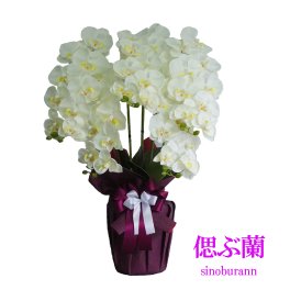 お供え 胡蝶蘭 造花 ５本立 お盆 初盆 お彼岸 仏壇 光触媒