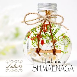 シマエナガ ハーバリウム 冬 雪の妖精 クリスマス プリザーブドフラワー ドライフラワー 可愛い 誕生日 プレゼント ギフト 入学 卒業 入社 退職 秋冬 インスタ映え 結婚祝い 退職祝い 送別 定年 退職 女性 男性 結婚式 結婚記念日 内祝 引越し祝い 開店祝い 敬老の日