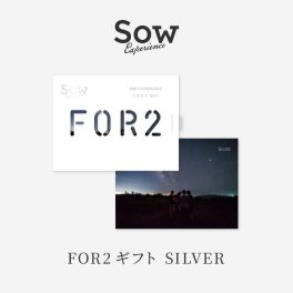 フォーツー FOR2シリーズ シルバー SILVER（ソウエクスペリエンス） カタログギフト 結婚祝い お祝い 大切な人 お返し カタログ 記念日 誕生日 贈り物 結婚祝い 友人 プレゼント ギフト 父の日 2026 プレゼント