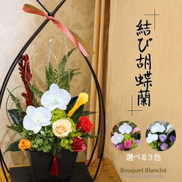 プレゼント 花 【 プリザーブドフラワー 】 胡蝶蘭 豪華 大きい お祝い 「結び胡蝶蘭」 和風 誕生日 古希 喜寿 米寿 卒寿 長寿祝い 退職祝い 定年 結婚祝い 仏花 お供え 枯れない ブリザードフラワー