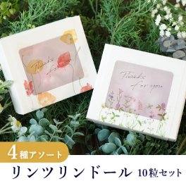 リンツ リンドール SLV 4種アソート（10粒入り）(オリジナル Lindt リンドール チョコレート Chocolate 洋菓子 お菓子 スイーツ ギフト 贈り物 お返し お礼 プチギフト プレゼント お祝い 内祝い 詰合せ かわいい おしゃれ 可愛い 手土産 誕生日 個包装)